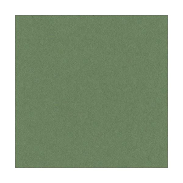 （まとめ）リンテック ニューカラーR 八つ切 オリーブ 8NCR-316 100枚[x5]