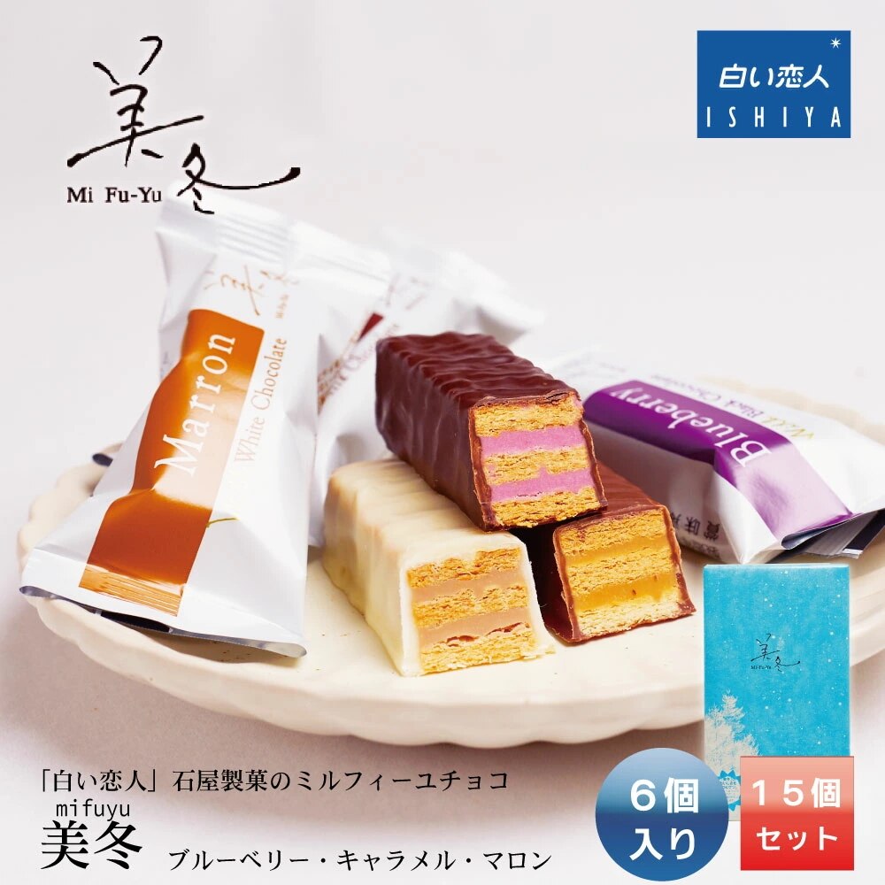 人気特価 美冬 (ブルーベリーキャラメルマロン) 6個入x15箱セット 石屋製菓 洋菓子