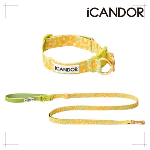 ペット セット Gentle Collar Dual + Leash_Big Fish Yellow ペット用品 犬用グッズ