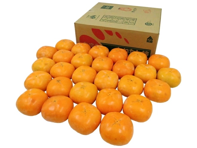 和歌山産 =たねなし柿= 訳あり 3L-4Lサイズ 24-28玉 約7.5kg 予約 10月以降