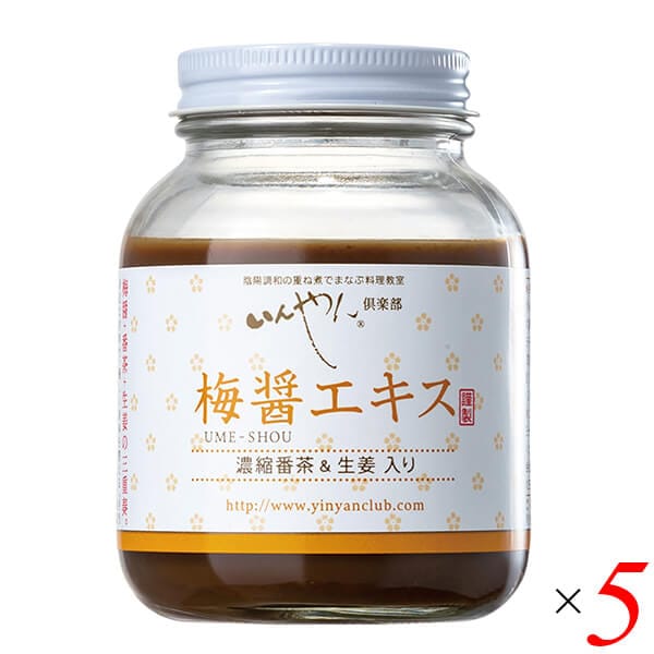 梅醤エキス 濃縮番茶＆生姜入り 250g 5個セット いんやん倶楽部