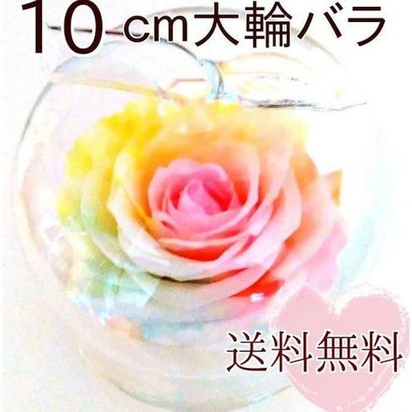 【高級プリザーブドフラワー】パステルレインボーローズ 　アップルガラスドーム 高級プリザーブドフラワー】パステルレインボーローズ アップルガラス