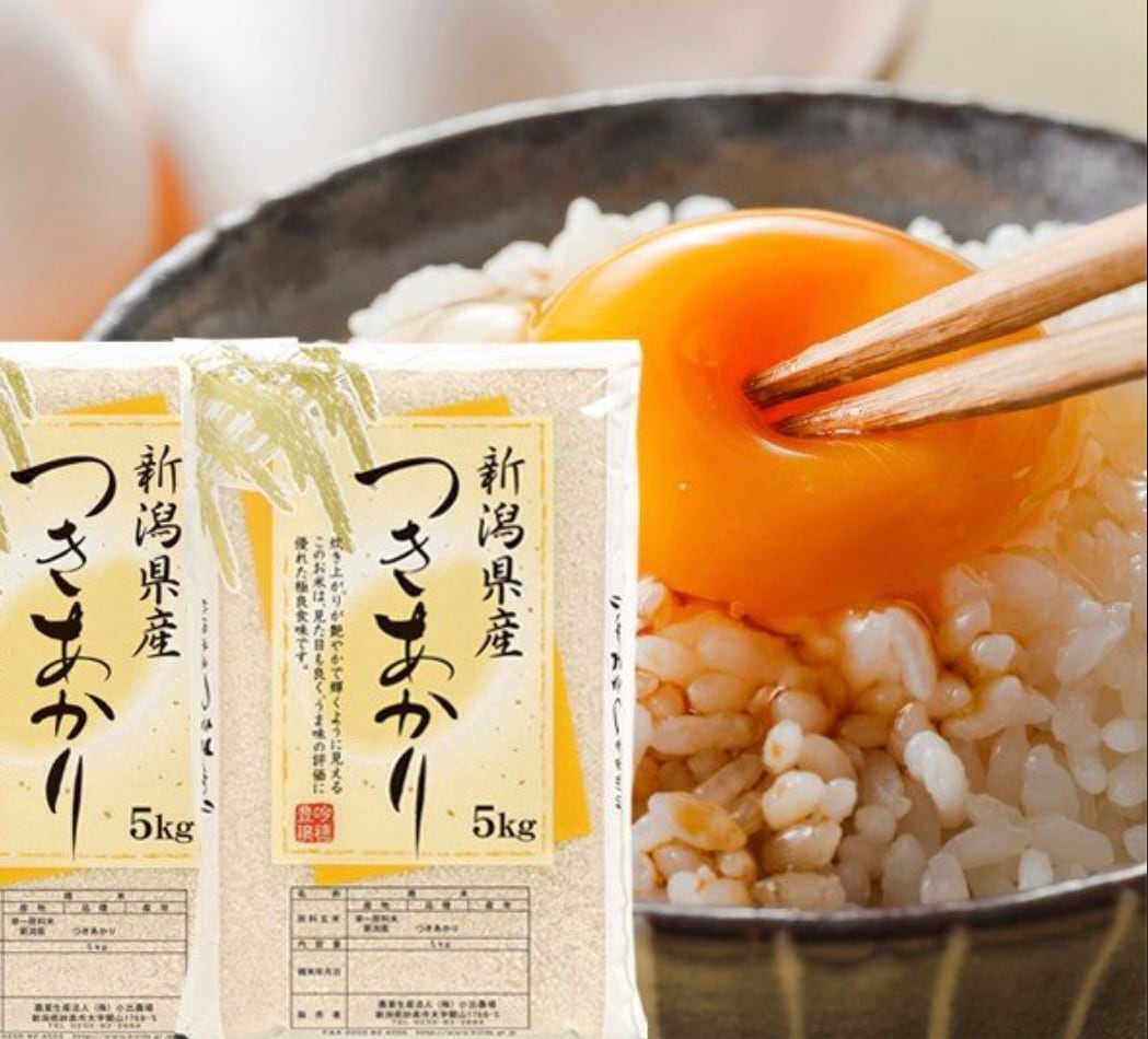 新潟県産 つきあかり 米 10kg 令和６年産 新潟産 白米 10kg プレゼント入り 高級米 おいしいお米 美味しいお米 産地直送 農家の米