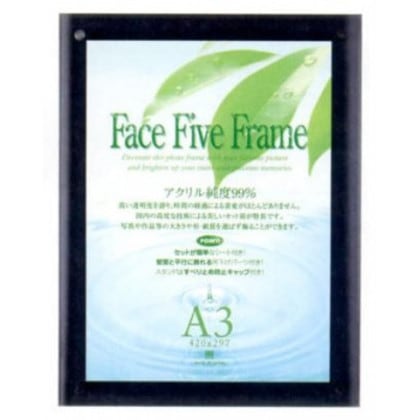 アートプリントジャパン フォトフレーム フェイスファイブフレーム A3対応 スモーク 30736770