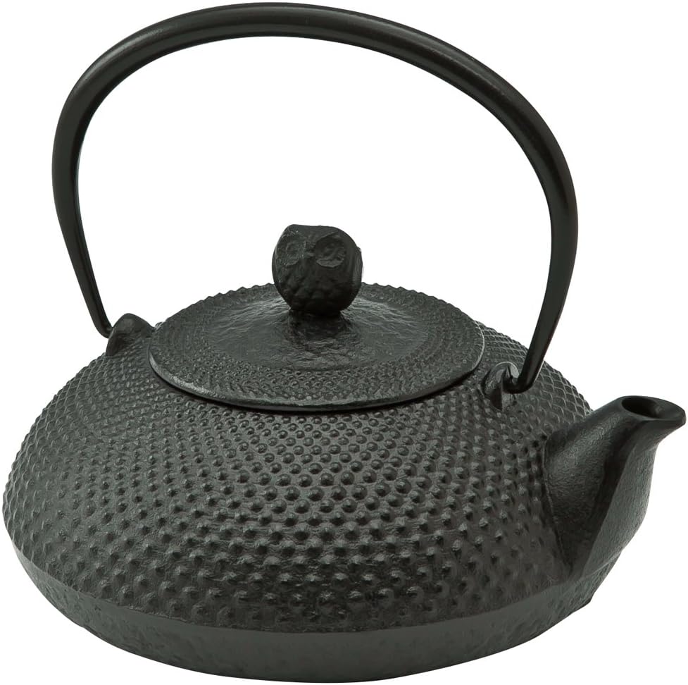 池永鉄工 IkenagaIronWorks 鉄瓶0.6L南部鉄器やかん鉄分補給宝寿日本製