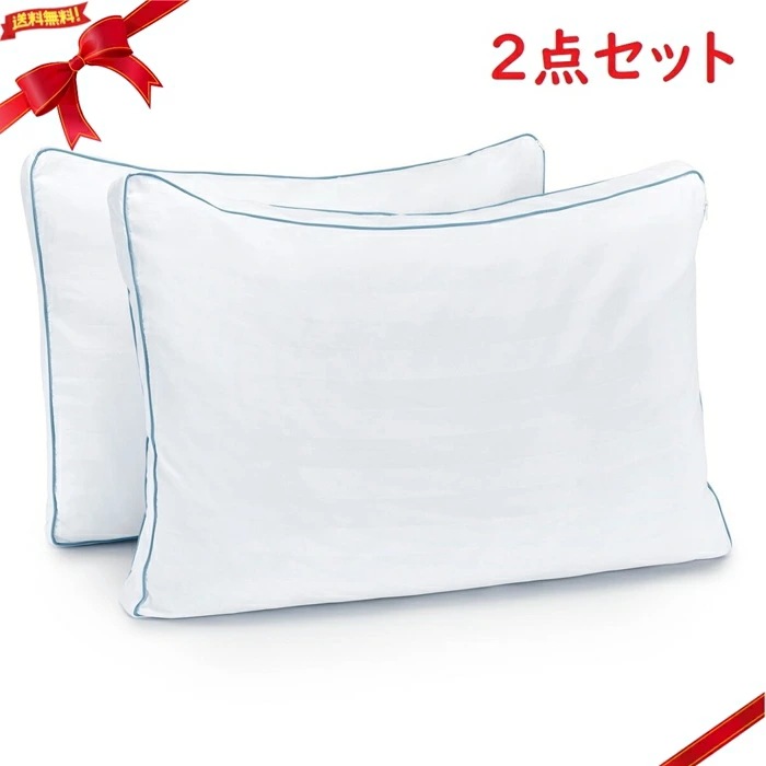 ピュアラックス 低反発チップ枕（マチ付） 2個セット 45 cm x 66 cm