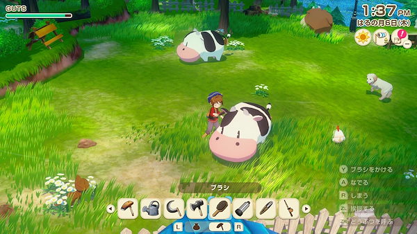牧場物語 Lets! 風のグランドバザール Nintendo Switch 2 Edition -Switch2