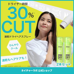 ダイアン パーフェクトビューティー 速乾ドライヘアスプレー
