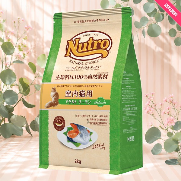 ニュートロ ナチュラルチョイス 室内猫用 アダルト サーモン 2kg キャットフード ドライ