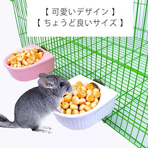 食器 ハム うさぎ 餌入れ えさ入れ 水入れ 水飲み 陶器 給餌 給水 ゴールデンハム ジャンガリアン キンクマ チモシー デグー チンチラ モルモット 鳥 インコ オウム 小動物