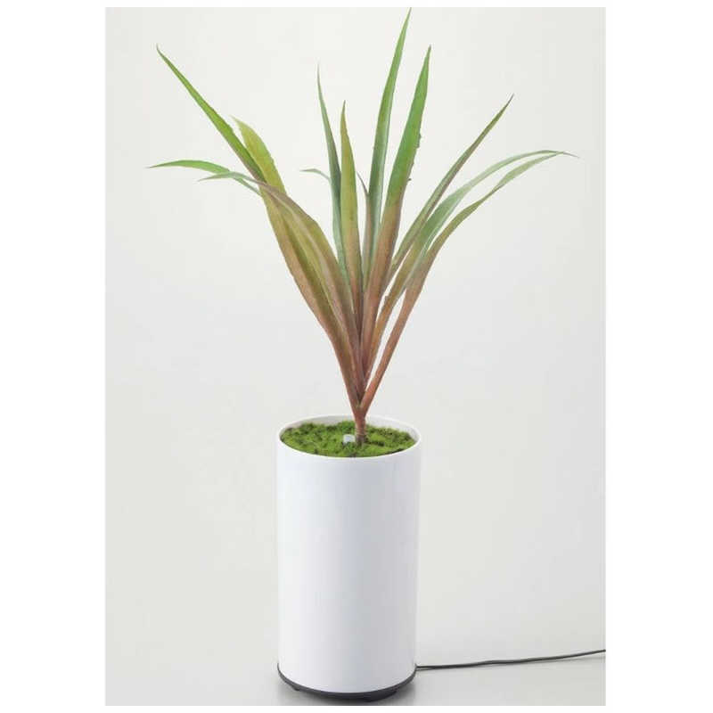 イシグロ　グリーンディフューザー タイプA 超音波式　70090