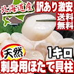ネット最安値に挑戦‼更にカートクーポンも使えます♪【送料無料】北海道産 天然大粒ほたて貝柱刺身用1kg（訳あり大きさ不揃い）★お刺身はもちろん、バター焼きでも最高ですよ♪ こちらはご家庭用になります