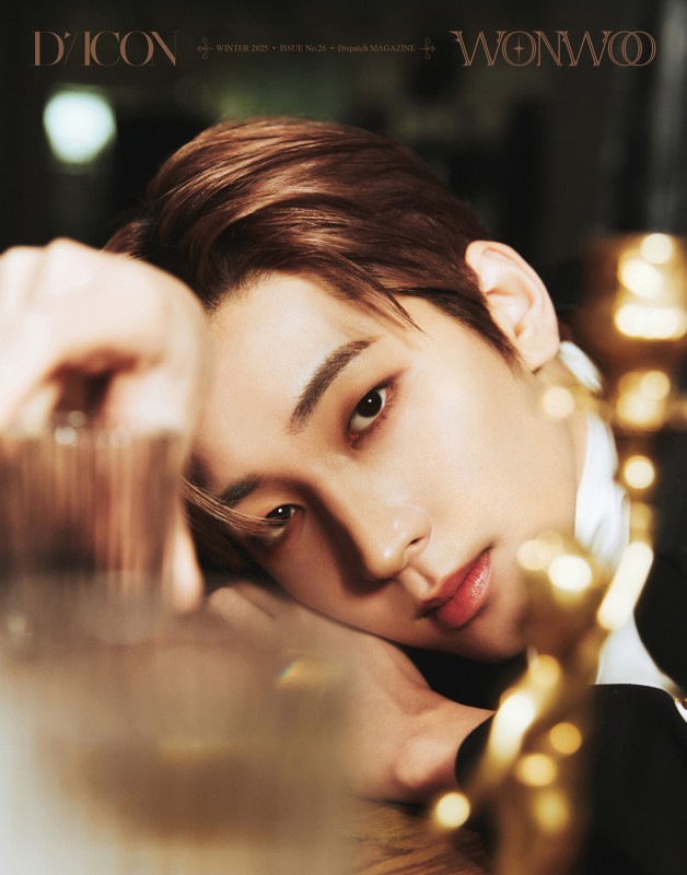 [未開封新品]ディアイコンDICONセブンティーンワンウミンギュ[ウォンウB型]