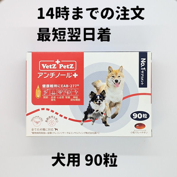 Qoo10] リニューアル アンチノール プラス 犬