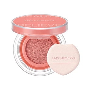 【正規品】 アーティストクッションブラッシュ