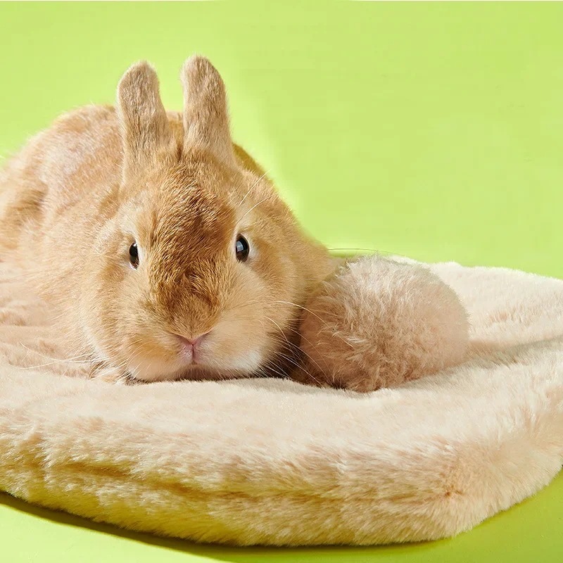 小さな動物のための暖かいケージマットウサギとギニアピッグ猫と犬のための眠っているパッドチャイナチラとヘッジホッグ冬のアクセサリー