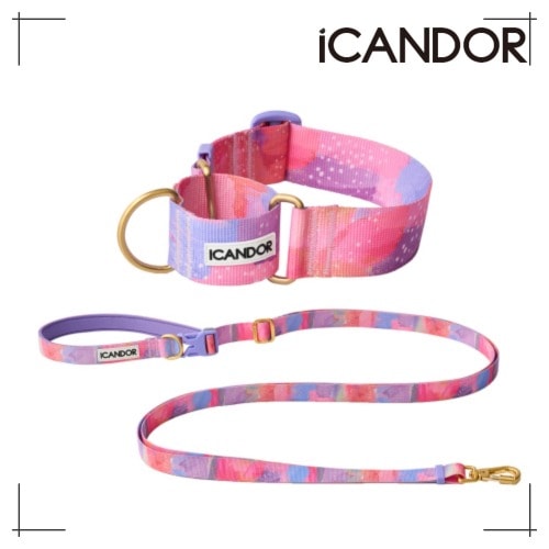 ペット セット Smooth Martin Gale Collar 38mm + Leash_Milky Way ペット用品 犬用グッズ 9,225円