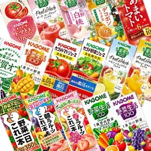 カゴメ 野菜ジュース [野菜一日これ一本 野菜生活100 野菜ジュース トマト 果汁] 195ml200ml紙パック48本[24本2ケース][賞味期限：3ヶ月以上]45営業日以内に出荷送