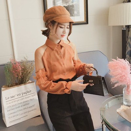 2451.シースルー長袖ブラウス（キャメル）2019 春夏 無地 普段使い お出かけ 着回し