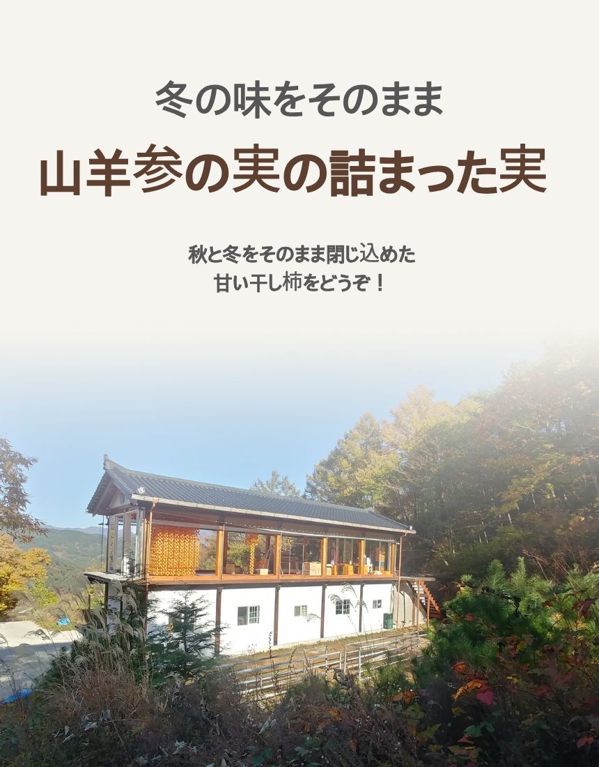 韓国 フルーツおやつ 山羊参 乾燥柿（干し柿）お得用