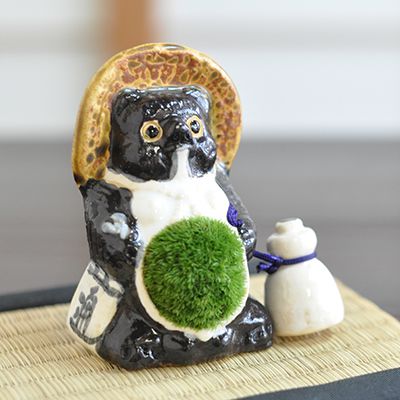 盆栽 苔盆栽 たぬき 信楽狸 苔 パパ 盆栽 苔 苔陶器 置物 コケ グリーン テラリウム インテリア 苔玉 こけだま こけ盆栽 コケ盆栽 父の日 敬老の日 ギフト プレゼント 草 山苔 苔玉盆栽