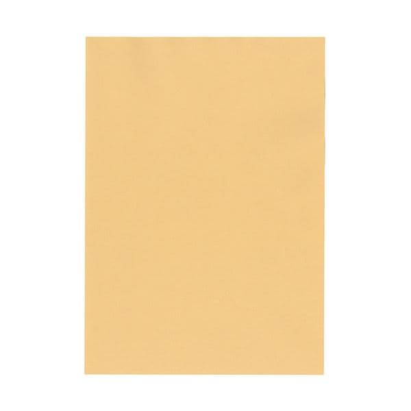 北越コーポレーション 紀州の色上質 A3 T目 超厚口 白茶 1箱（400枚：100枚x4冊）