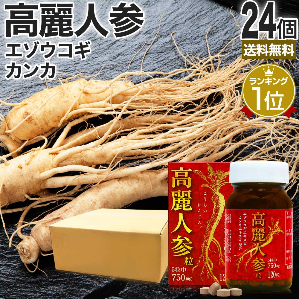高麗人参粒 120粒*24個 約576-720日分 サプリメント サプリ