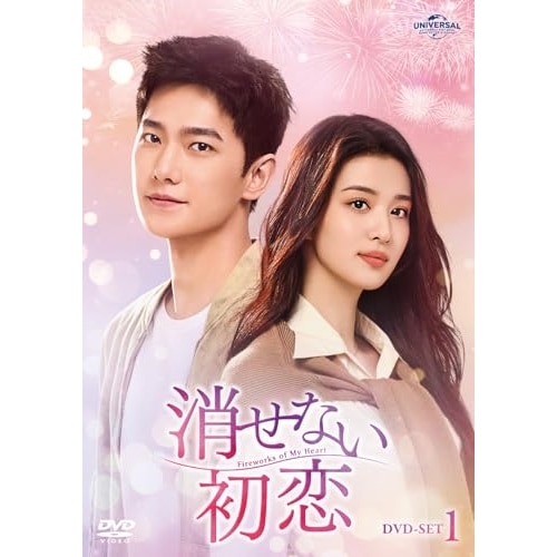 消せない初恋 DVD-SET1 ／ ヤン・ヤン (DVD) GNBF-5863 12,492円