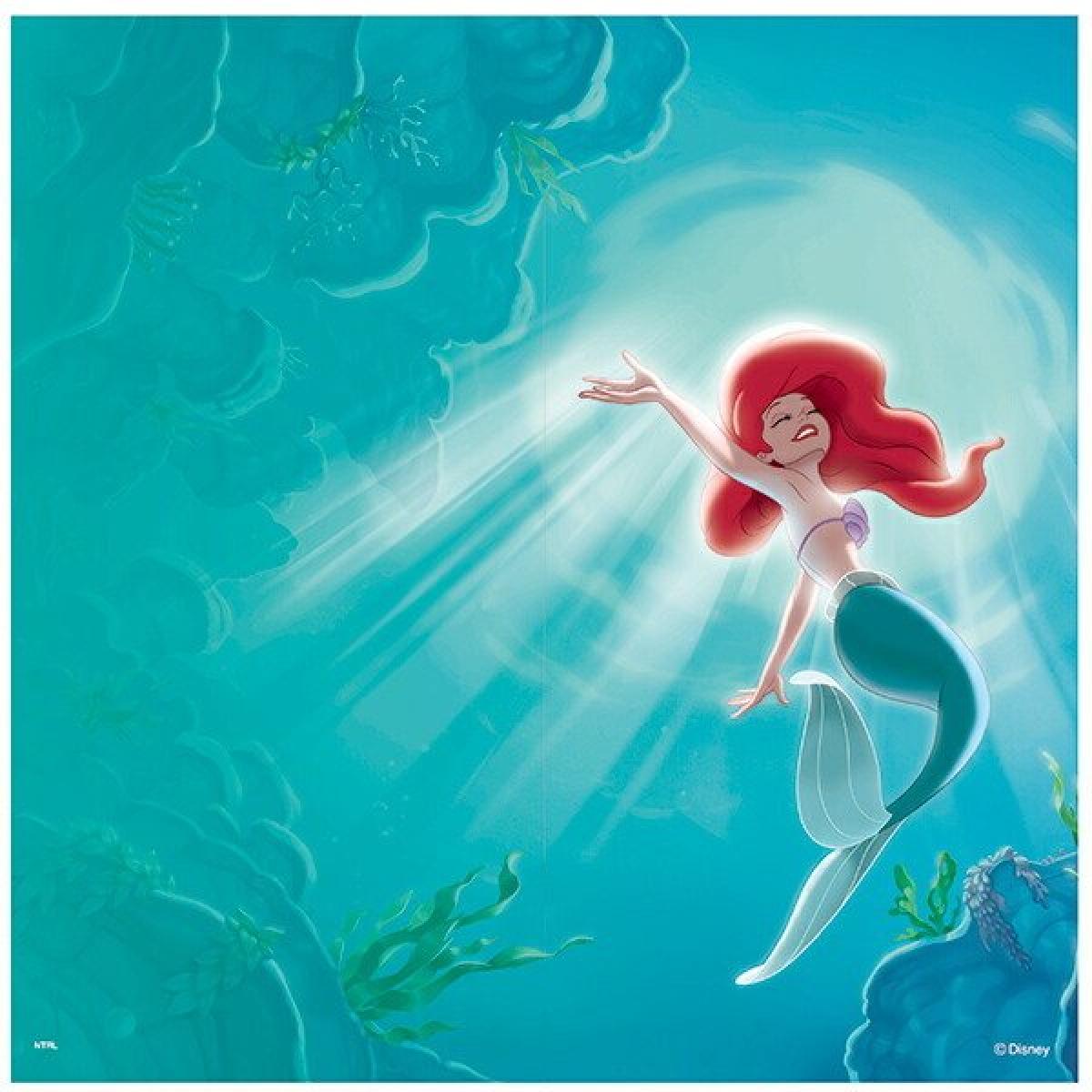 アサヒペン ふすま紙 ディズニープリンセス リトルマーメード NTLP-015F 92cm182cm 2枚1組 襖紙 襖張り替え 襖リメイク