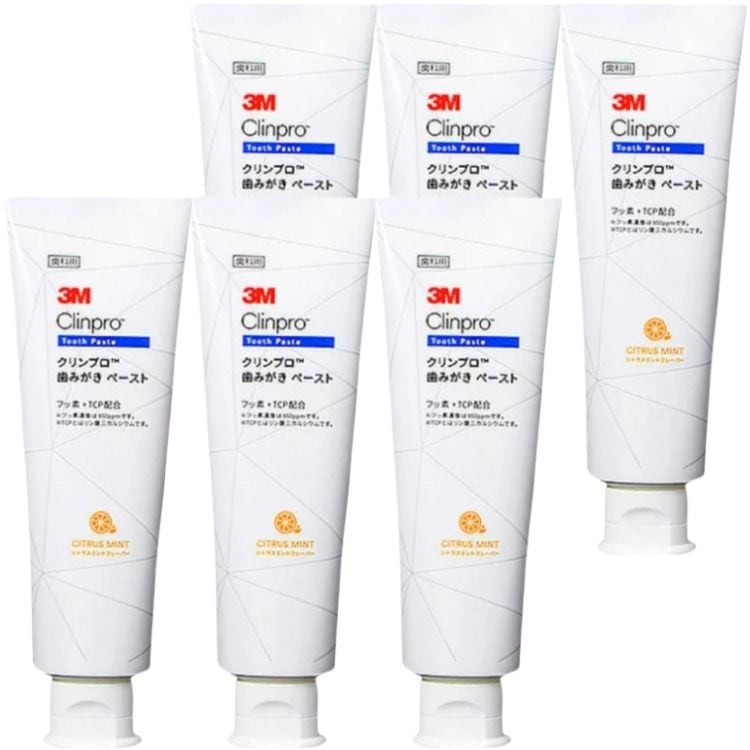 6本セット 3M クリンプロ 歯みがきペースト シトラスミント 90g フッ素濃度 950ppm 8253 スリーエム