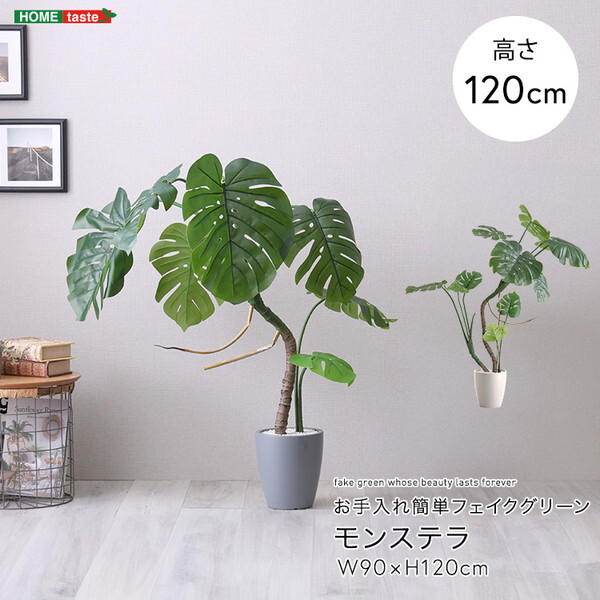 ホームテイスト SH-06-MON-S お手入れ簡単フェイクグリーン モンステラ Sサイズ(120cm) グレー メーカー直送