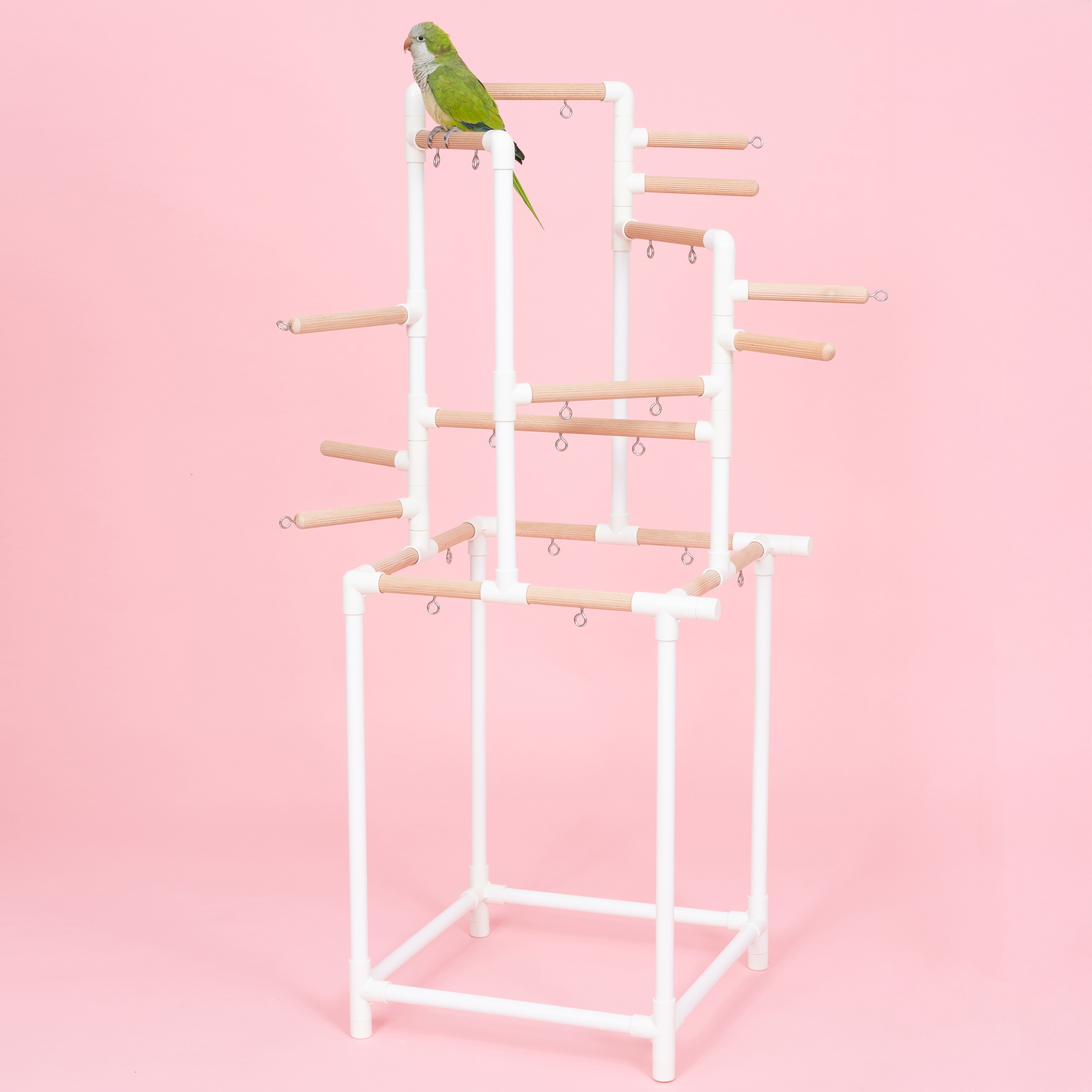 オウム用プレイグラウンド・ペントハウス(Parrot Playground Penthouse)