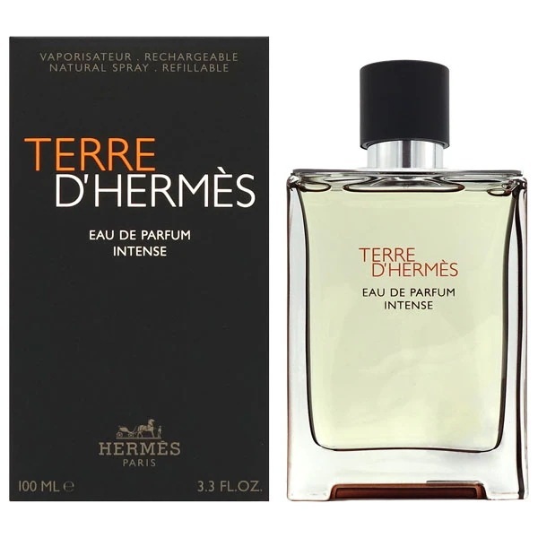 テール ドゥ エルメス アンタンス（インテンス） EDP SP 100ml【香水 メンズ】