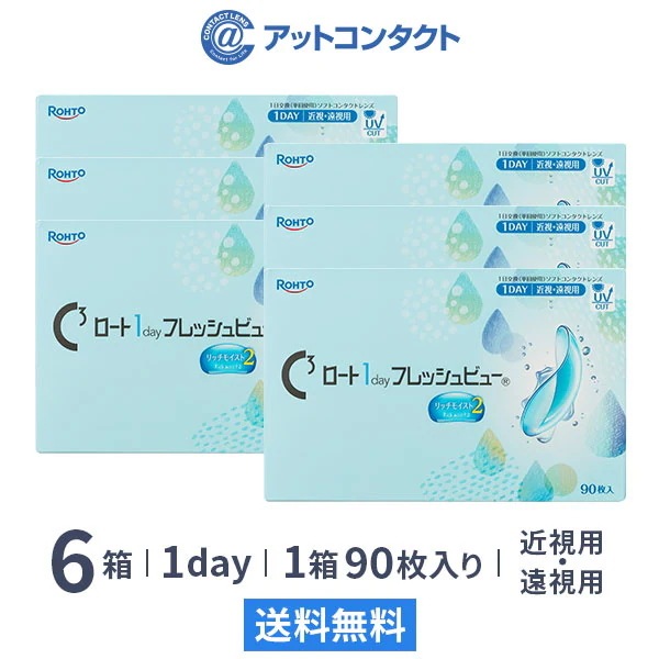 ロート ワンデーフレッシュビュー リッチモイスト2 90枚 6箱