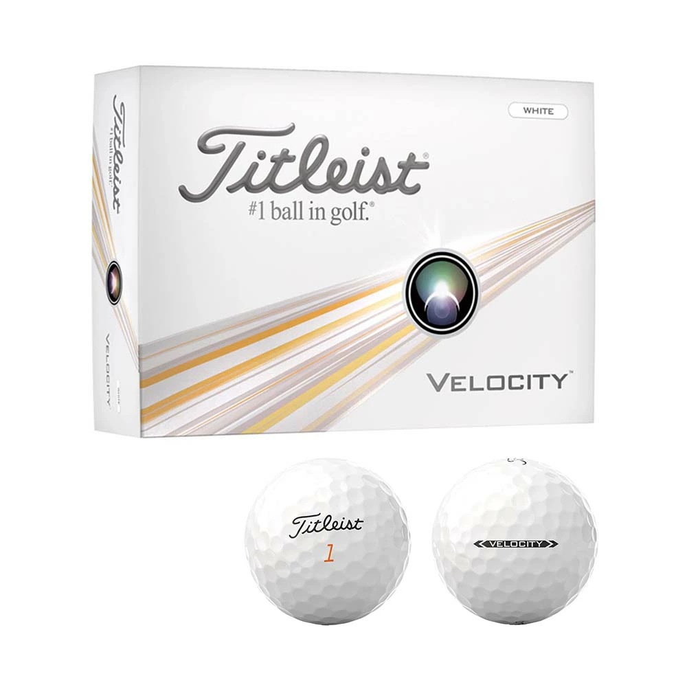 VELOCITY 2024�N���f�� [�z���C�g]