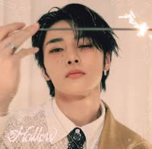 特典オリジナルユニットフォトカード付き Stray Kids JAPAN 3rd Mini Album 『Hollow』(I.N盤) 新品未開封