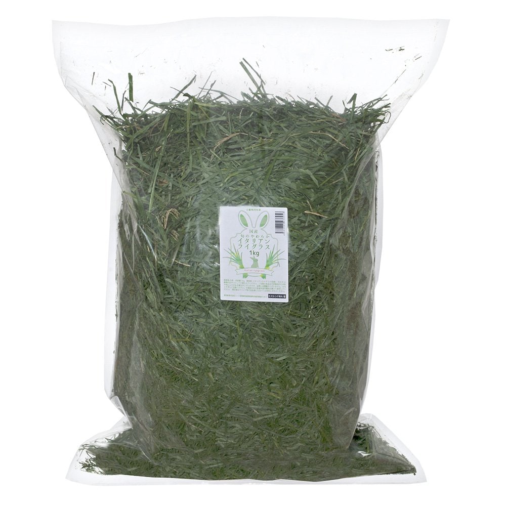 うさぎ　牧草　国産　旬のやわらかイタリアンライグラス　１ｋｇ　業務用サイズ　モルモット　小動物　おやつ　ＵＳＡＹＡＭＡ　ＣＲＣ50―77―35―00―00