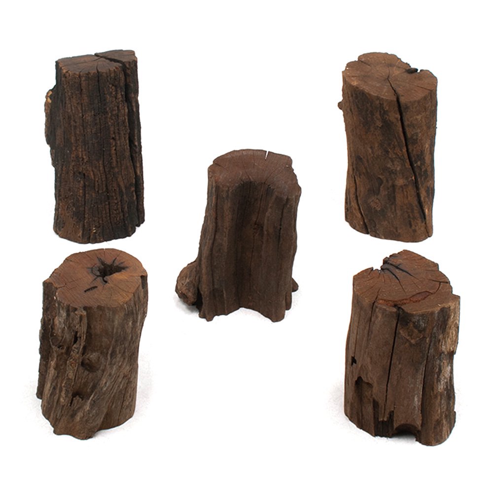 形状お任せ　煮込み済み　切り株ドリフトウッド　Ｍサイズ（約７ー９ｃｍ）　Ｈｉｇｈタイプ（高さ約１０ー１５ｃｍ）　５本　ＣＲＣ21―10―20―10―00