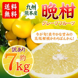 送料無料■和製グレープフルーツ 晩柑(訳あり) 約7kg★今が旬!爽やかな甘みの高級柑橘かわちばんかん!お試しで今回限りの超特価セール!美容・健康に女性人気の高級フルーツ!グレープフルーツに蜂蜜を足し