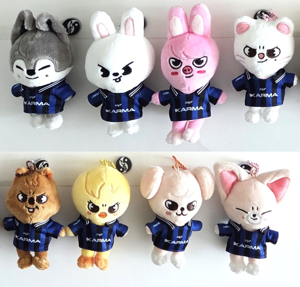 Stray Kids The 4th Album Karma SKZOO Ver. Official Photocard Keyring 公式フォトカード