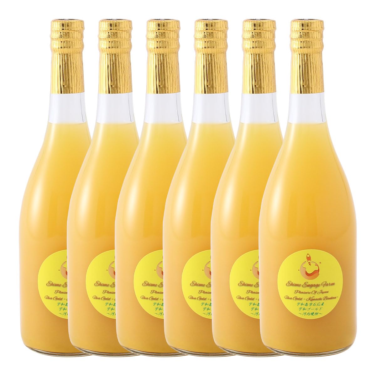 [エヒメエンゲージファーム] 宇和ゴールドジュース(河内晩柑) 720ml 6本セット(箱入)