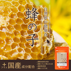 蜂の子　(2個セット約6ヶ月分)