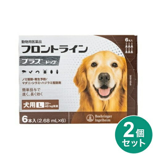 【2個セット】 フロントライン 犬用 L 20~40kg未満 6本入 ノミ 蚤 ダニ ハジラミ 駆除剤 駆除液 動物用医薬品 ペット用医薬品 中型犬 大型犬 フロントラインプラスドッグ(代引不可)