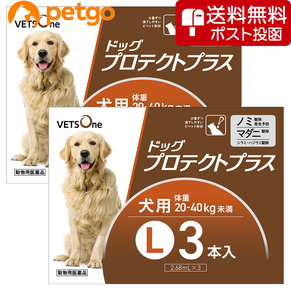 【ネコポス(同梱不可)】【2箱セット】ベッツワン ドッグプロテクトプラス 犬用 L 3本 (動物用医薬品)