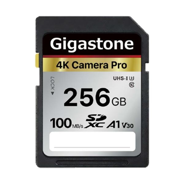 Gigastone SDXCカード 256GB V30 UHS-1 U3 A1 1枚