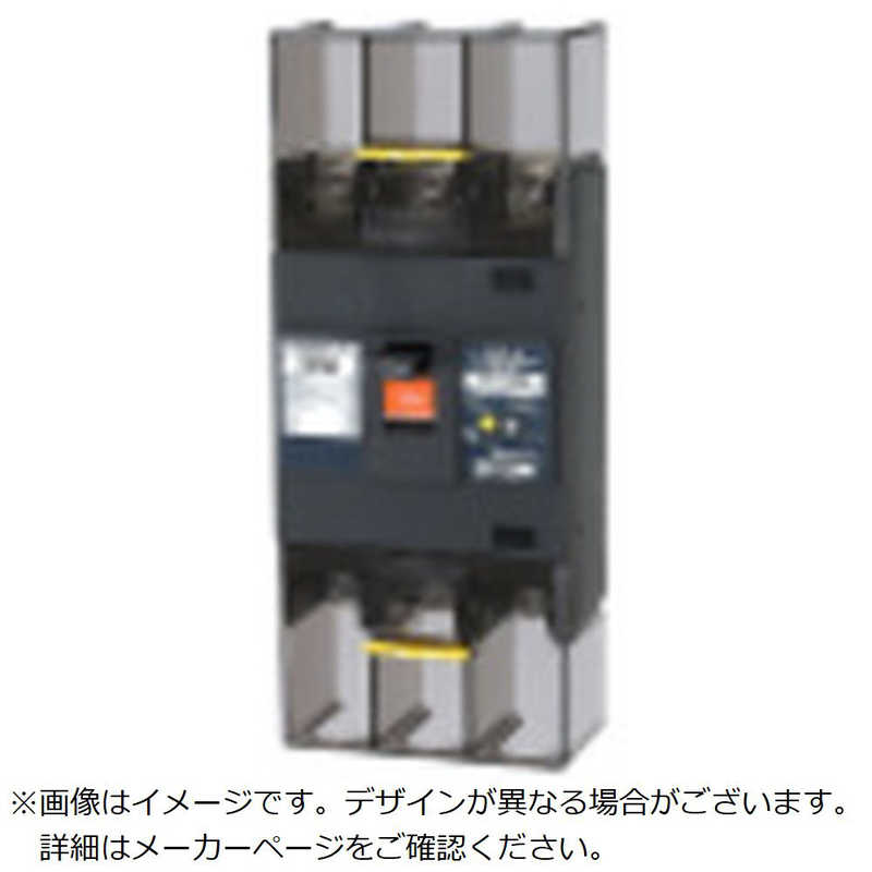 テンパール工業　GBL-223EA 200A W2 ジエン FP　223EA20W2LF