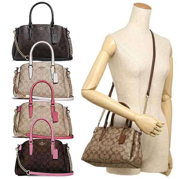 MINI SAGE CARRYALL IN SIGNATURE CANVAS F29434
