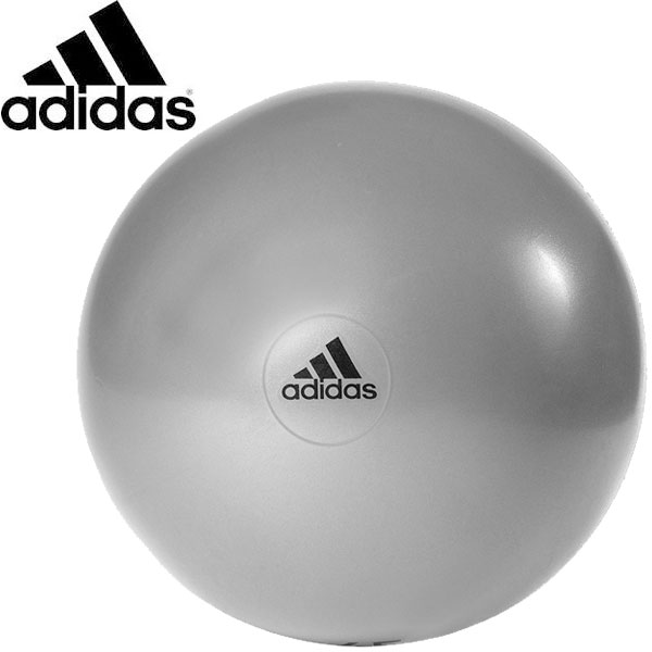 アディダス adidas ジムボール 65cm グレー ADBL-11246GR エクササイズ フィットネス・トレーニング