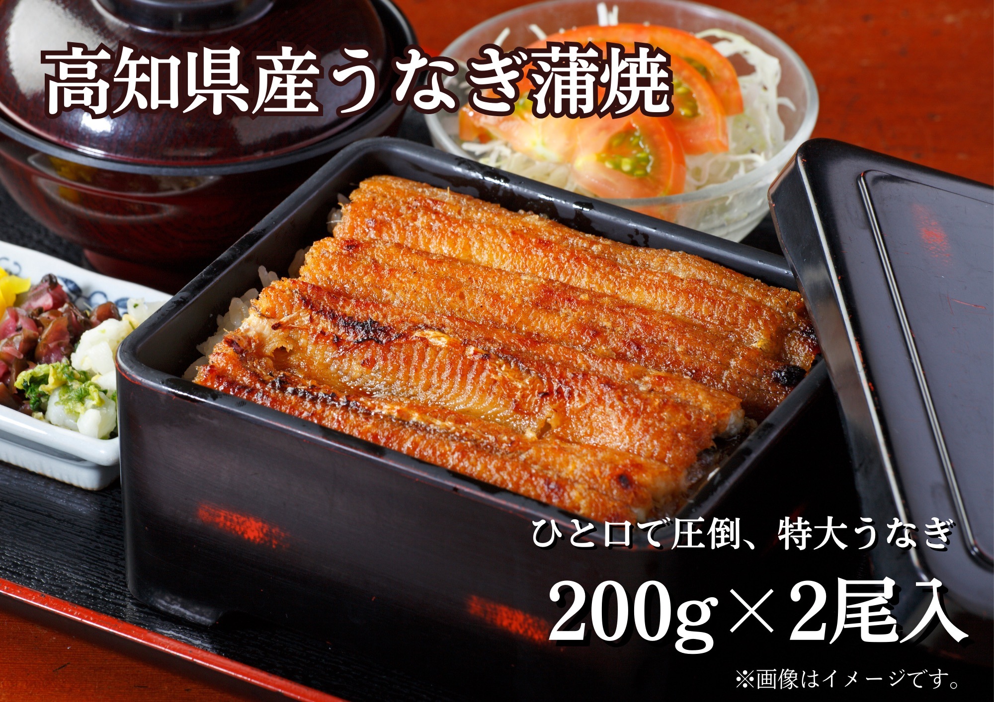 高知県産　うなぎ蒲焼 200g×2尾