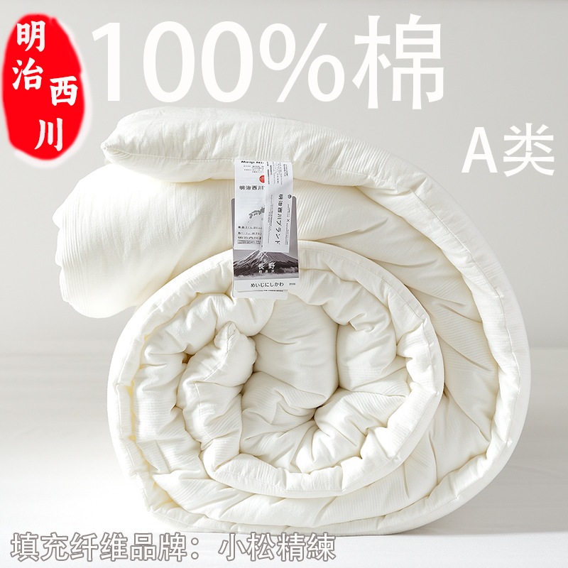 日本への輸出西川スミキルトクラスa夏のキルトエアコンシングルアンドダブルスプリングと秋のキルト冬の冬のキルト